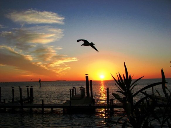 Galveston Bay at sunset